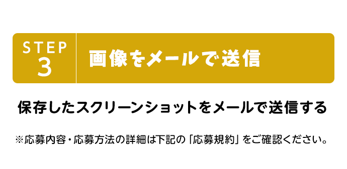 STEP3 画像をメールで送信 保存したスクリーンショットをメールで送信する ※応募内容・応募方法の詳細は下記の「応募規約」をご確認ください。