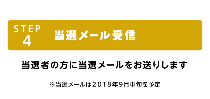 STEP3 当選メール受信 当選者の方に当選メールをお送りします ※当選メールは2018年1月末を予定。※@neoscorp.jp以外から当選メールをお送りすることはありません。※当選されなかった方にはメールは届きません。
